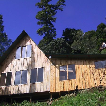 Quetzal Valley Cabins San Gerardo de Dota Exterior foto