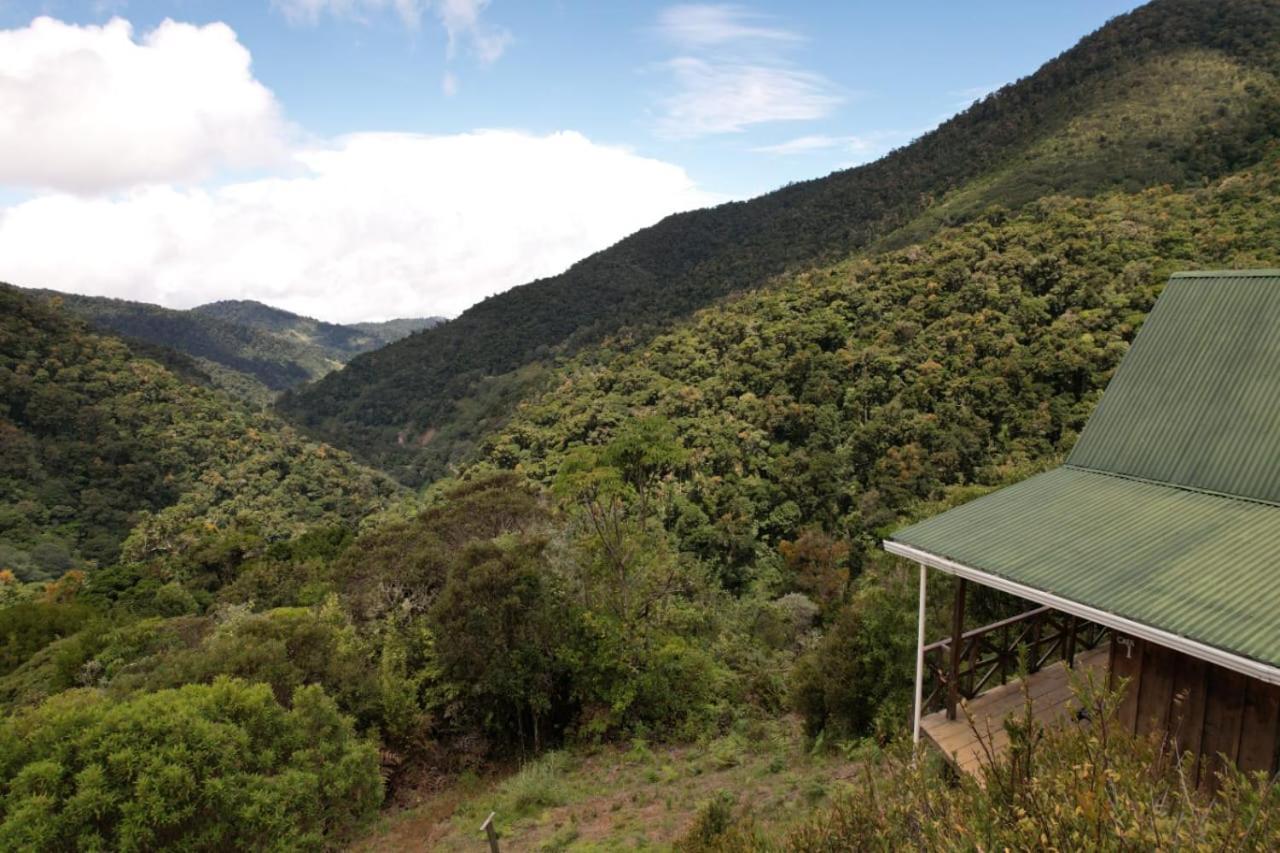 Quetzal Valley Cabins San Gerardo de Dota Exterior foto
