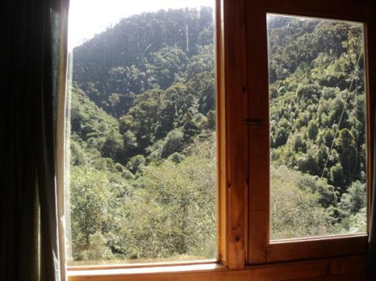 Quetzal Valley Cabins San Gerardo de Dota Exterior foto