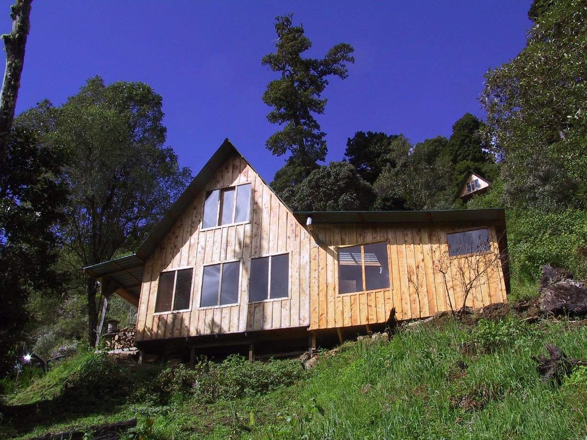 Quetzal Valley Cabins San Gerardo de Dota Exterior foto
