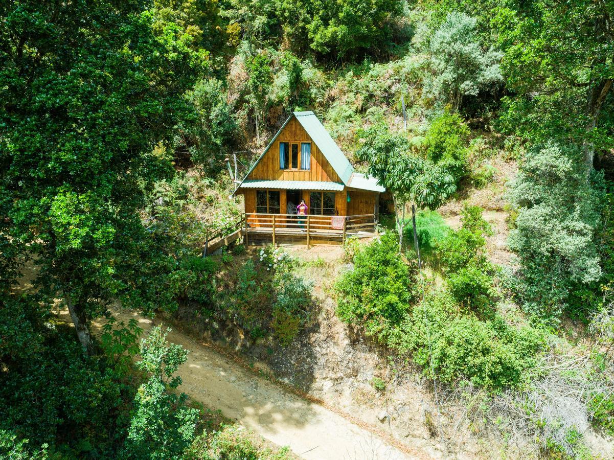 Quetzal Valley Cabins San Gerardo de Dota Exterior foto